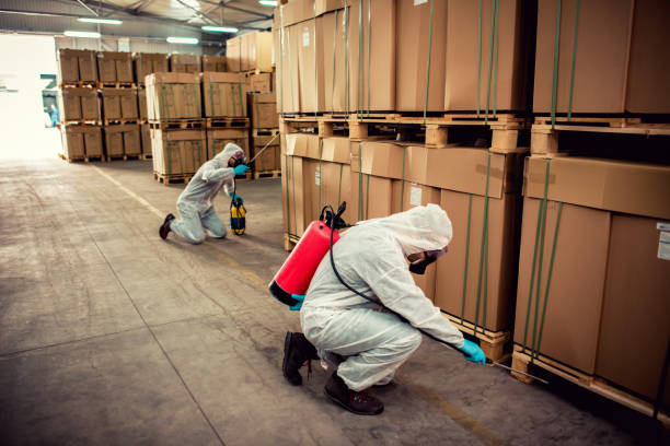 Best Cockroach Control Services  in Franklin, VA