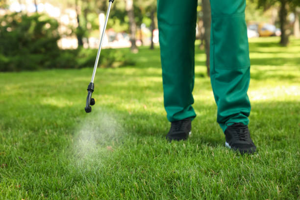 Best Best Pest Control Companies  in Franklin, VA