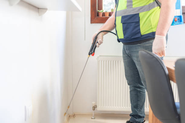 Best Wasp Removal Services  in Franklin, VA